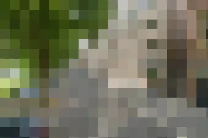 Havensingel 53 's-Hertogenbosch thumbnail 7
