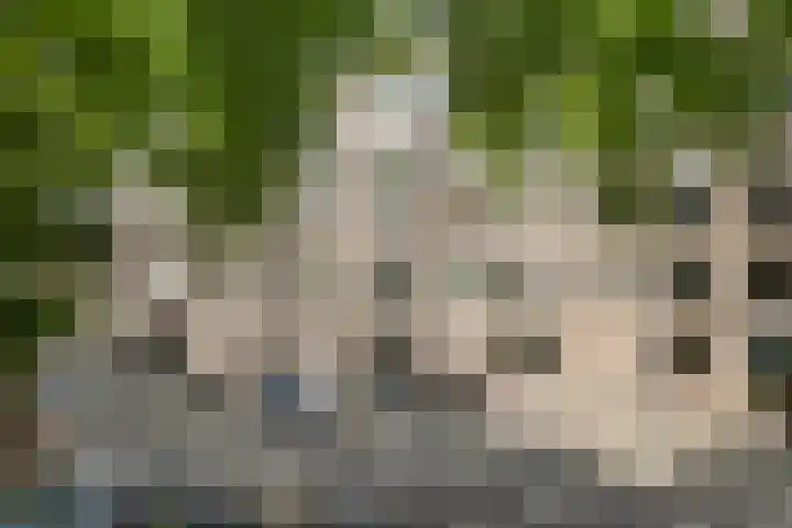 Havensingel 53 's-Hertogenbosch thumbnail 8