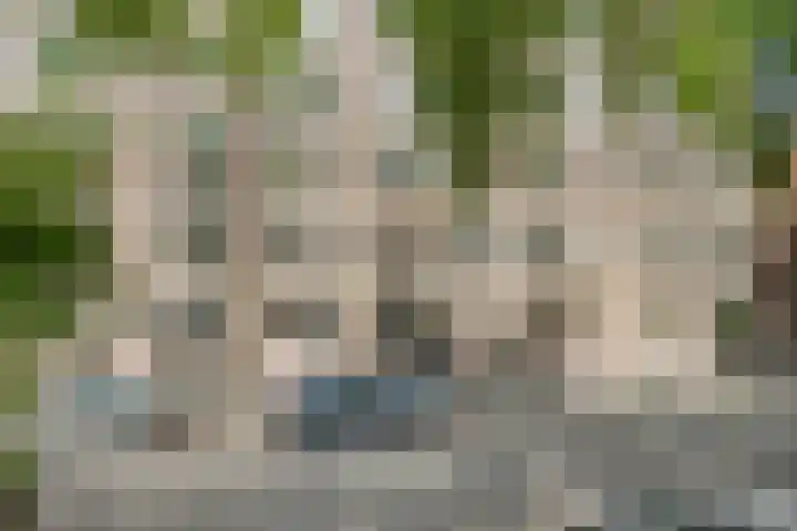 Havensingel 53 's-Hertogenbosch thumbnail 9