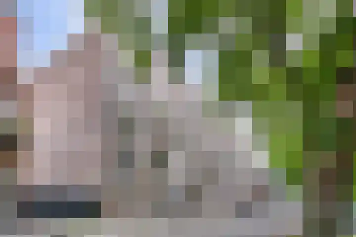 Havensingel 55 's-Hertogenbosch thumbnail 19