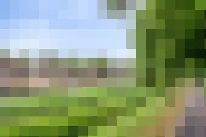 Havensingel 55 's-Hertogenbosch thumbnail 20