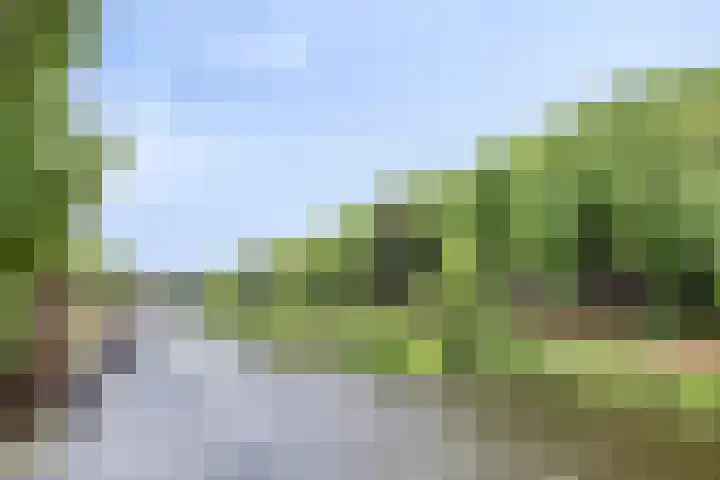 Havensingel 55 's-Hertogenbosch thumbnail 21