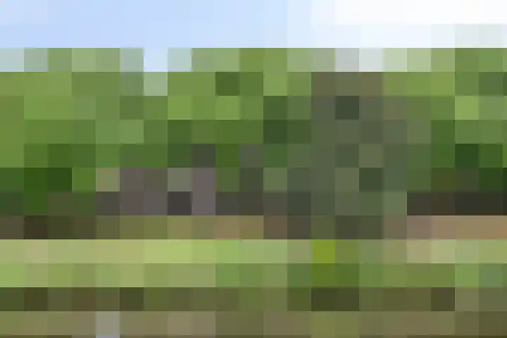 Havensingel 55 's-Hertogenbosch thumbnail 22