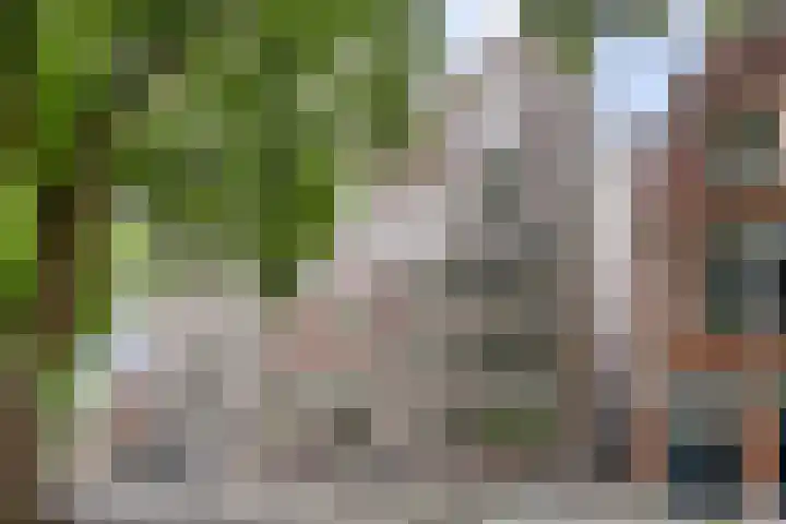 Havensingel 55 's-Hertogenbosch thumbnail 24