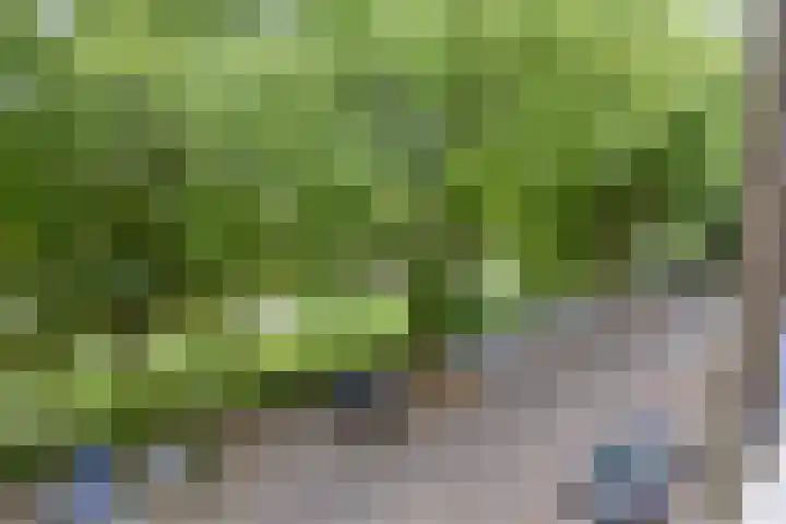 Havensingel 55 's-Hertogenbosch thumbnail 5
