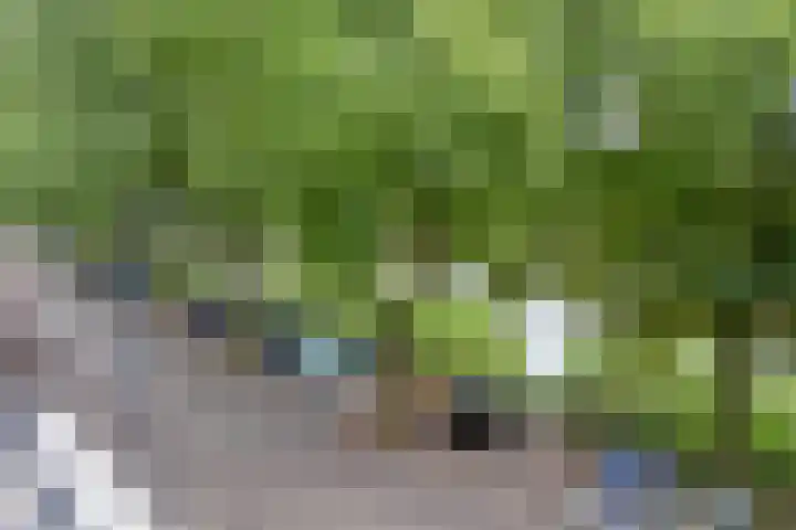 Havensingel 55 's-Hertogenbosch thumbnail 6