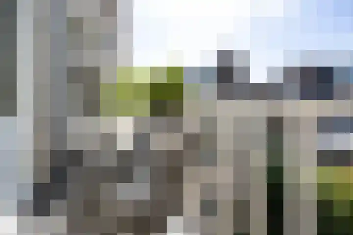 Havensingel 70 's-Hertogenbosch thumbnail 18