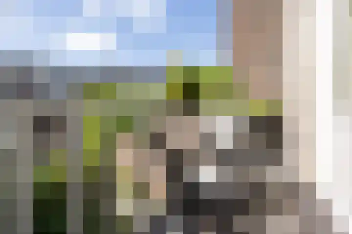 Havensingel 70 's-Hertogenbosch thumbnail 19