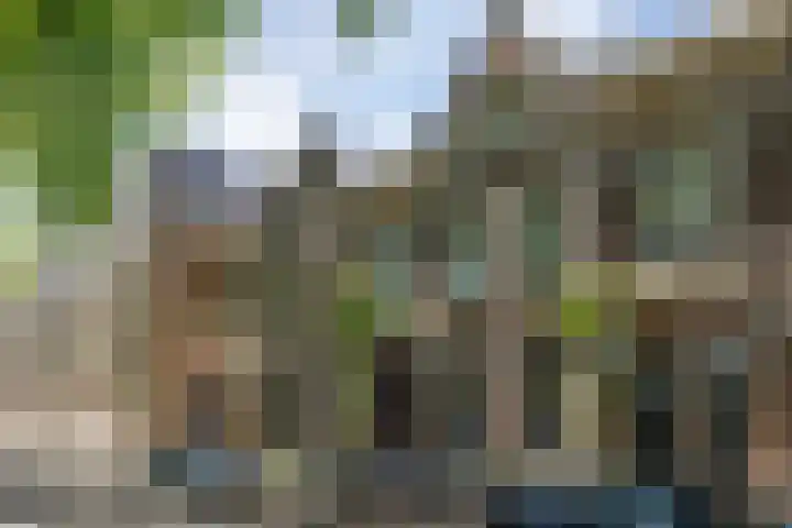 Havensingel 70 's-Hertogenbosch thumbnail 48