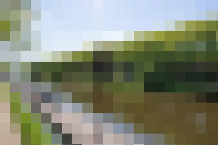 Havensingel 70 's-Hertogenbosch thumbnail 52