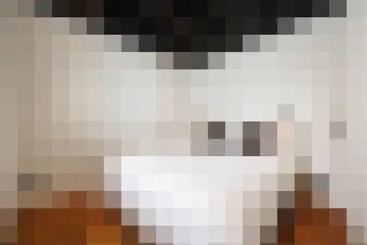 Havensingel 73 's-Hertogenbosch thumbnail 26