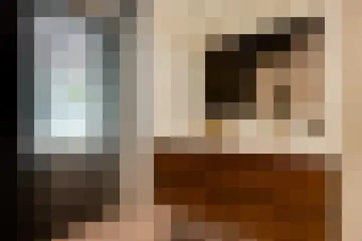 Havensingel 73 's-Hertogenbosch thumbnail 29
