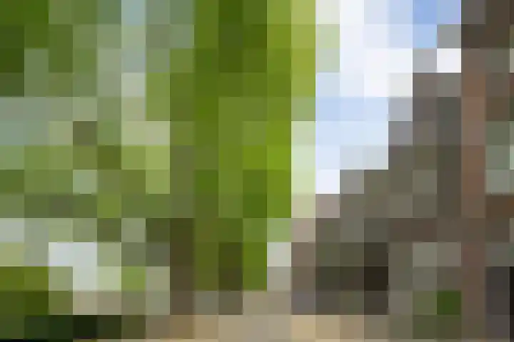 Havensingel 73 's-Hertogenbosch thumbnail 46