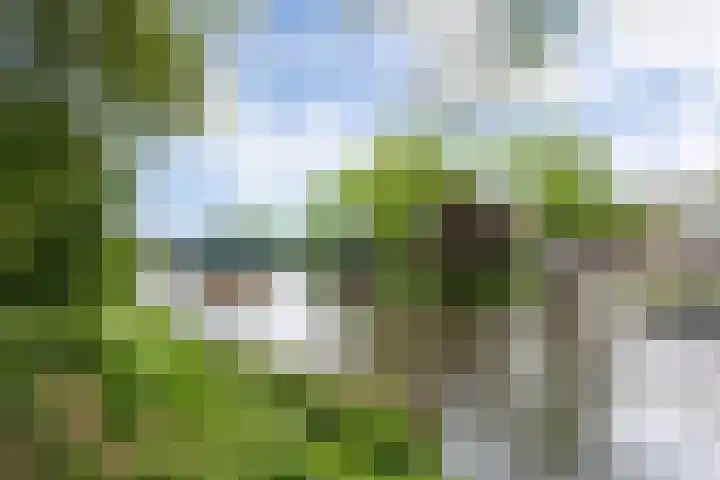 Havensingel 73 's-Hertogenbosch thumbnail 48
