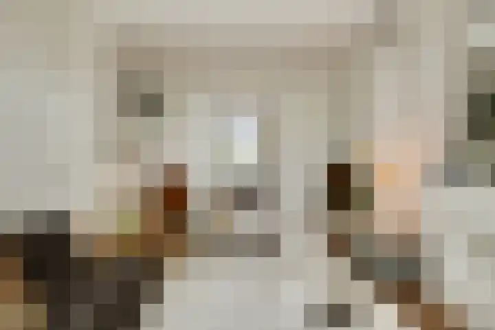Havensingel 73 's-Hertogenbosch thumbnail 6