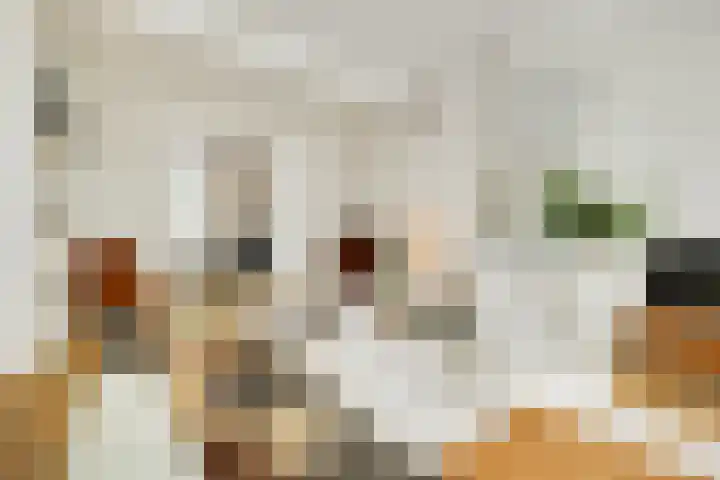 Havensingel 73 's-Hertogenbosch thumbnail 8