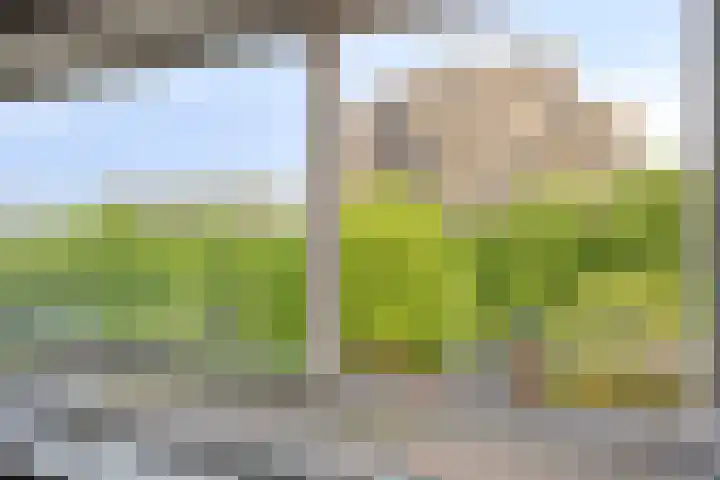 Havensingel 98 Eindhoven thumbnail 15