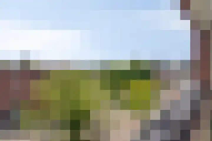 Havensingel 98 Eindhoven thumbnail 24