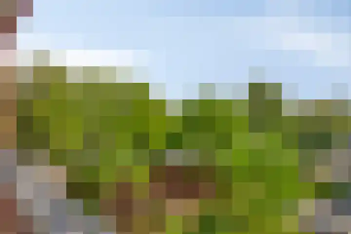 Havensingel 98 Eindhoven thumbnail 25