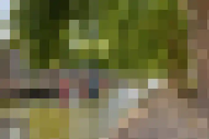 Havensingel 98 Eindhoven thumbnail 47