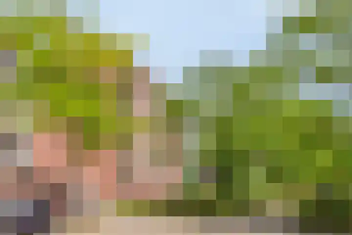 Havensingel 98 Eindhoven thumbnail 6