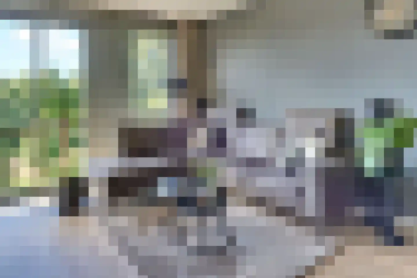 Havenspoor 205 Harderwijk thumbnail 24