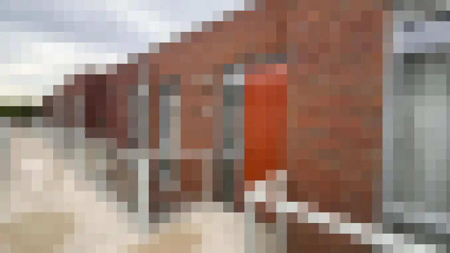 Havenspoor 209 Harderwijk thumbnail 16