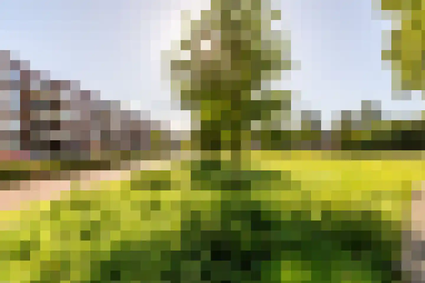 Havenspoor 209 Harderwijk thumbnail 22