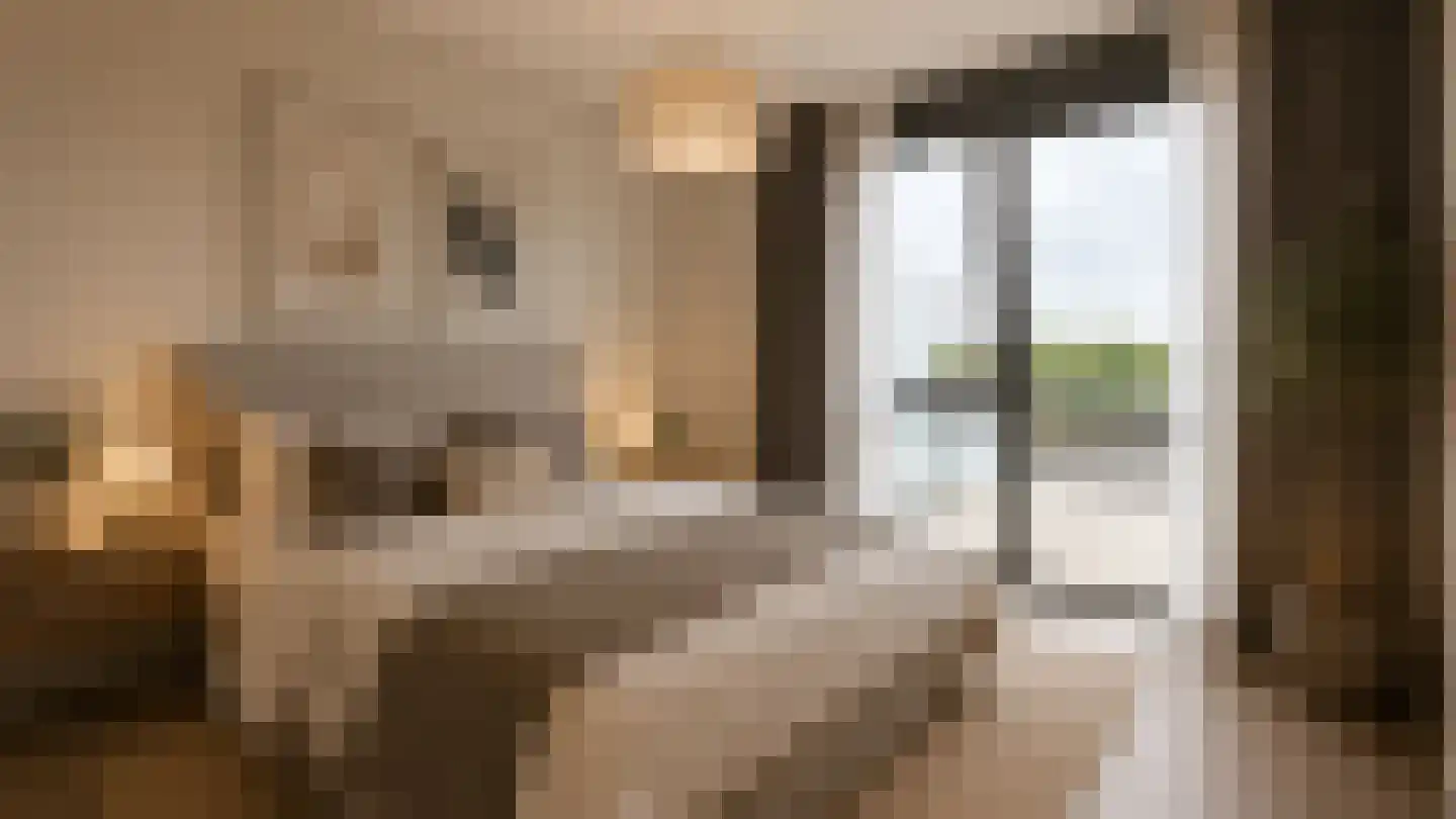 Havenspoor 209 Harderwijk thumbnail 7