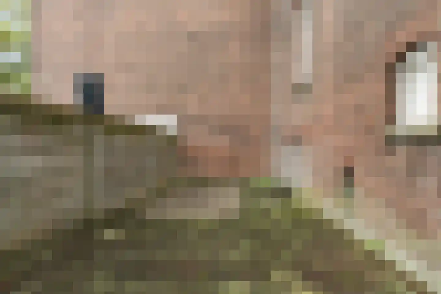 Havenstraat 1 Dordrecht thumbnail 28