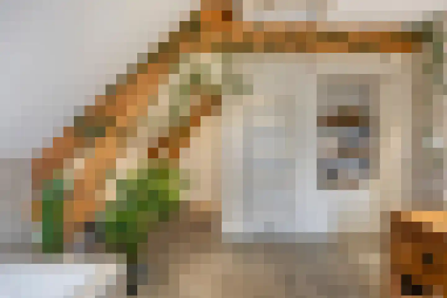 Havenstraat 1 Hooge Zwaluwe thumbnail 21