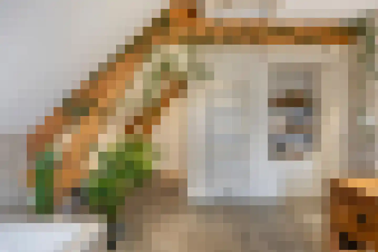 Havenstraat 1 Hooge Zwaluwe thumbnail 22