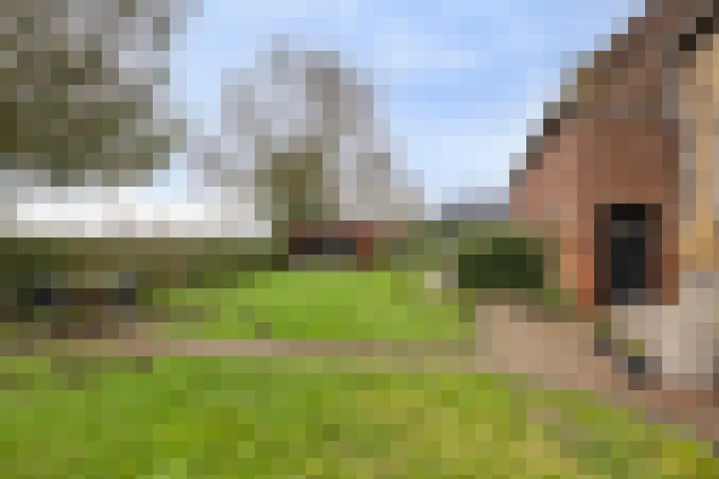 Havenstraat 1 Hooge Zwaluwe thumbnail 34