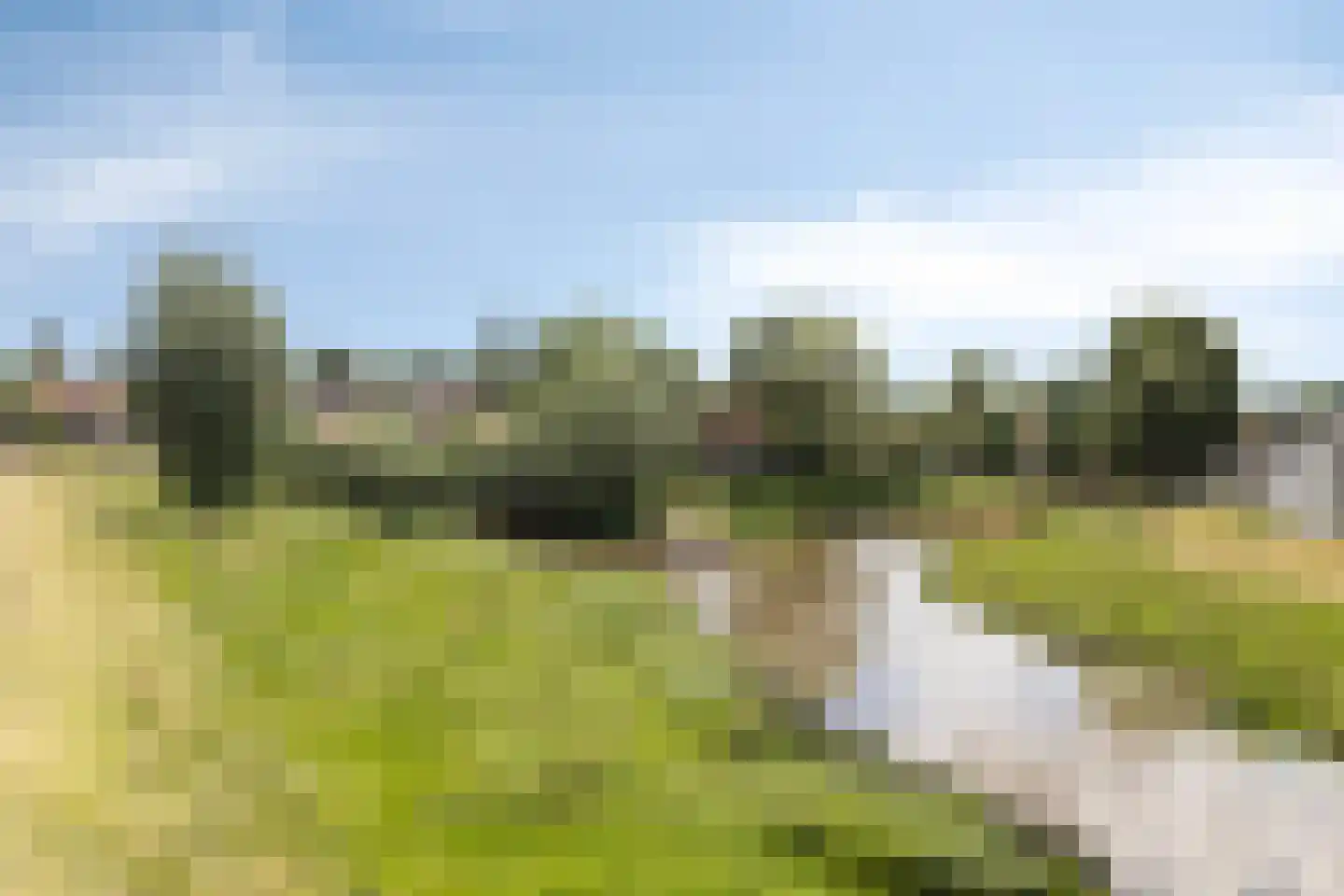Havenstraat 1 Hooge Zwaluwe thumbnail 35