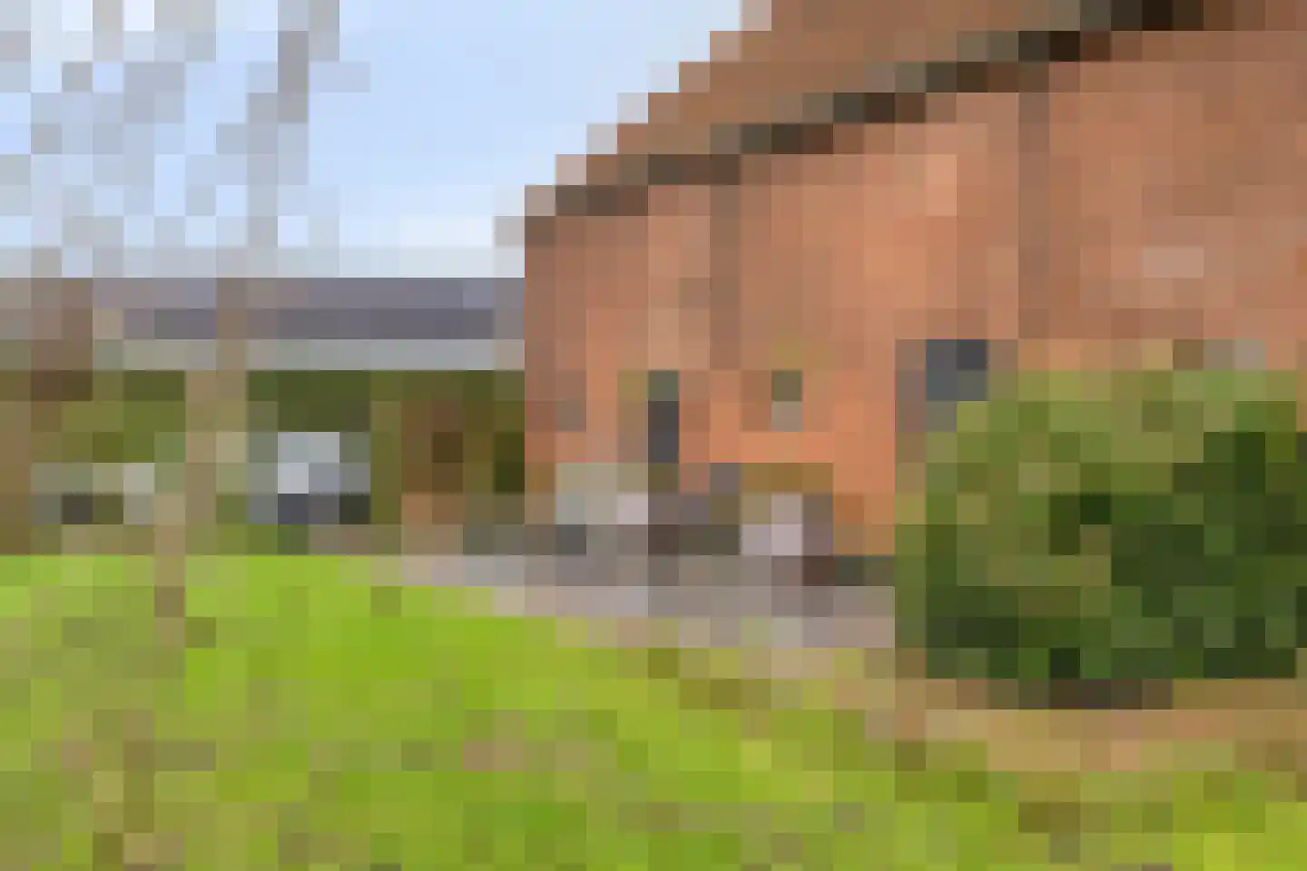 Havenstraat 1 Hooge Zwaluwe thumbnail 35