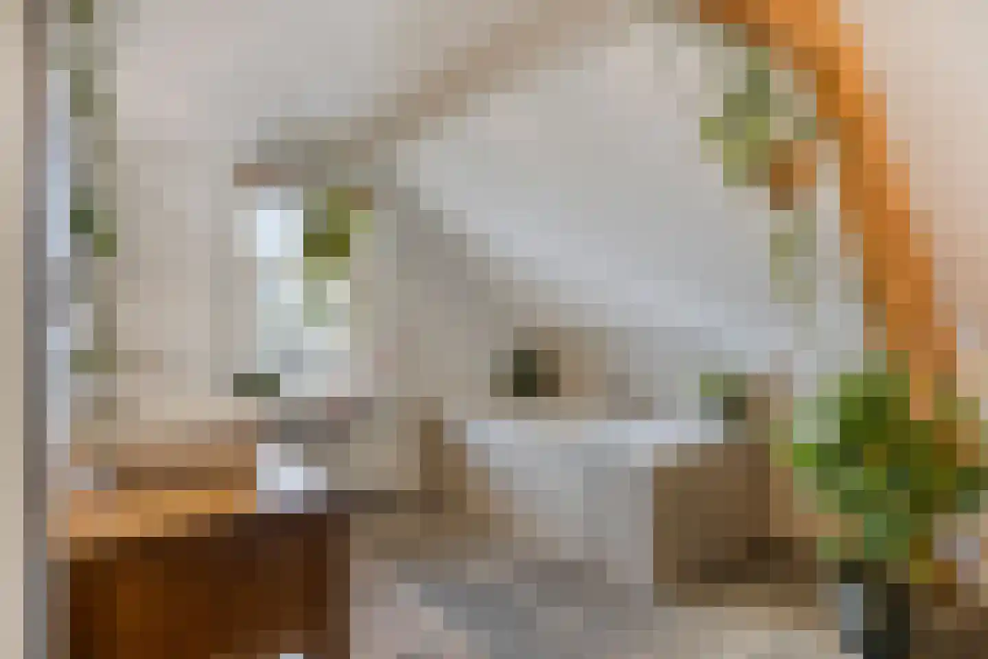 Havenstraat 1 Hooge Zwaluwe thumbnail 4