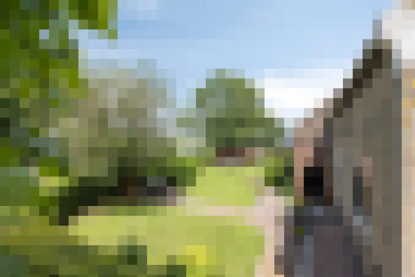 Havenstraat 1 Hooge Zwaluwe thumbnail 43