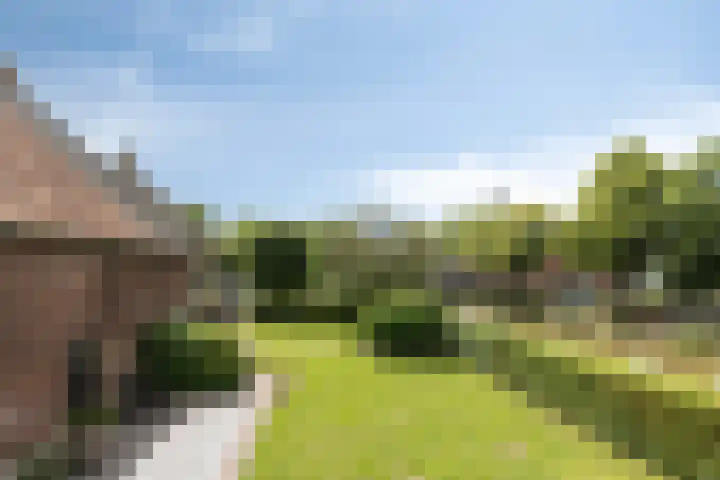 Havenstraat 1 Hooge Zwaluwe thumbnail 44