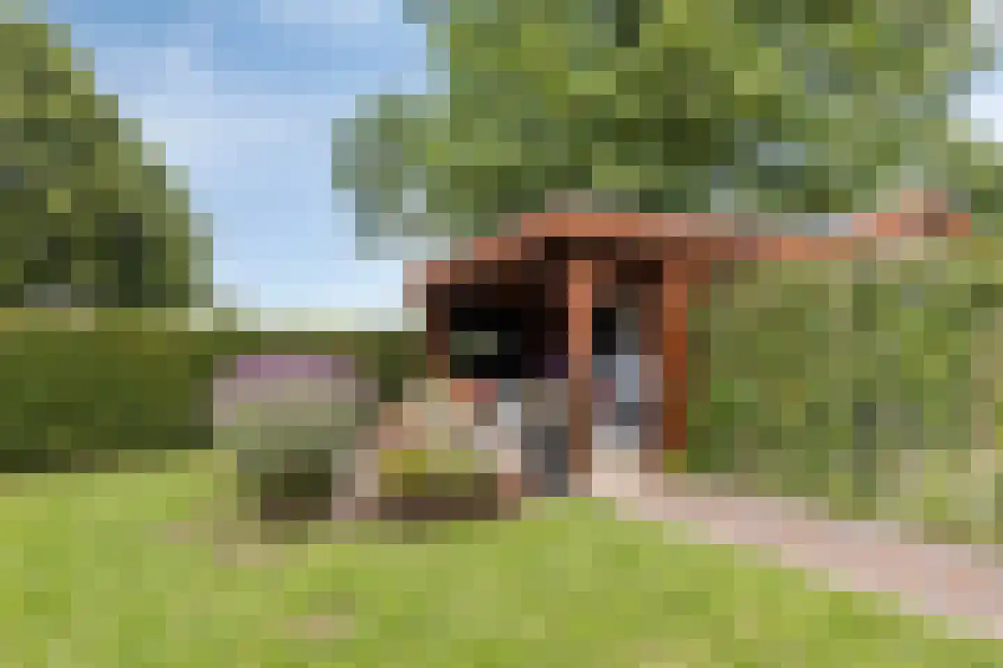 Havenstraat 1 Hooge Zwaluwe thumbnail 46