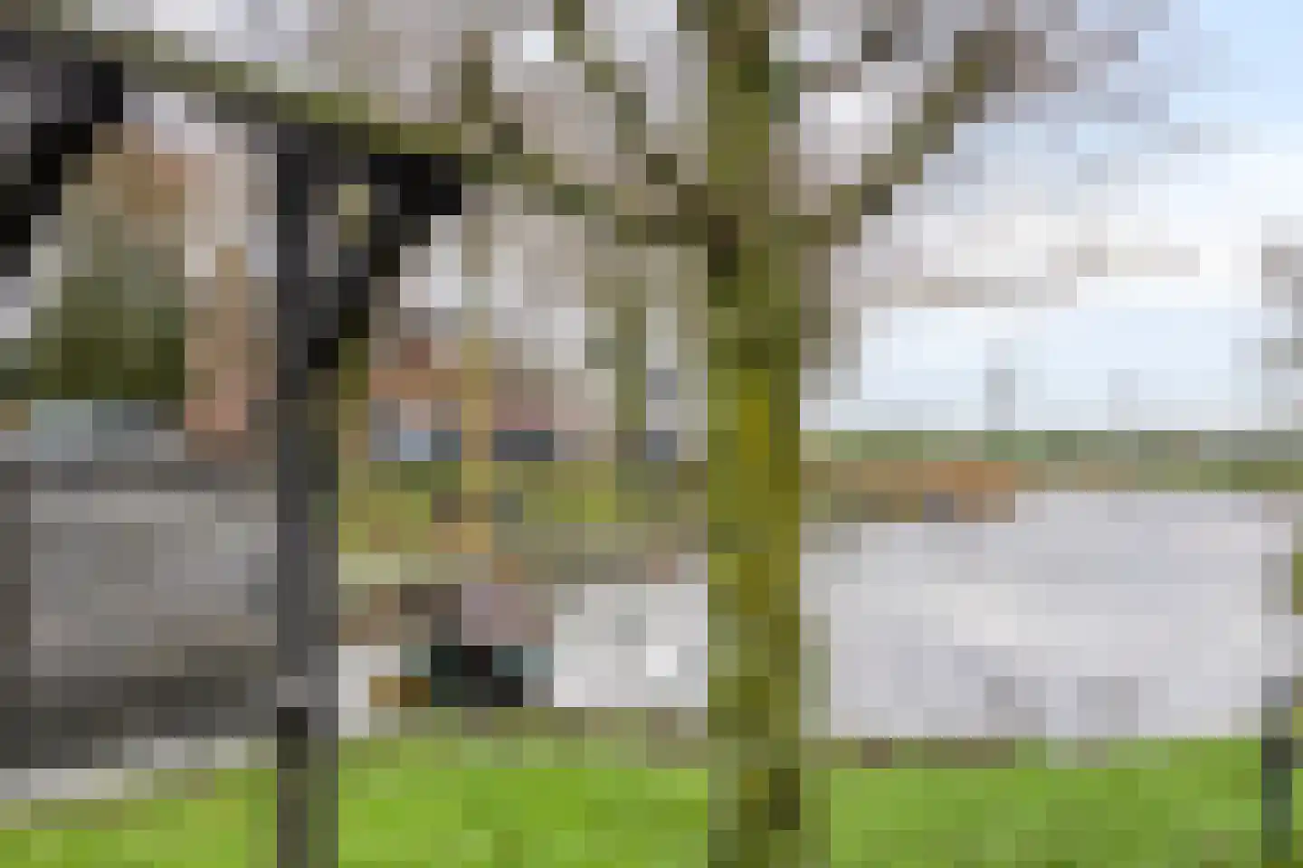 Havenstraat 1 Hooge Zwaluwe thumbnail 46