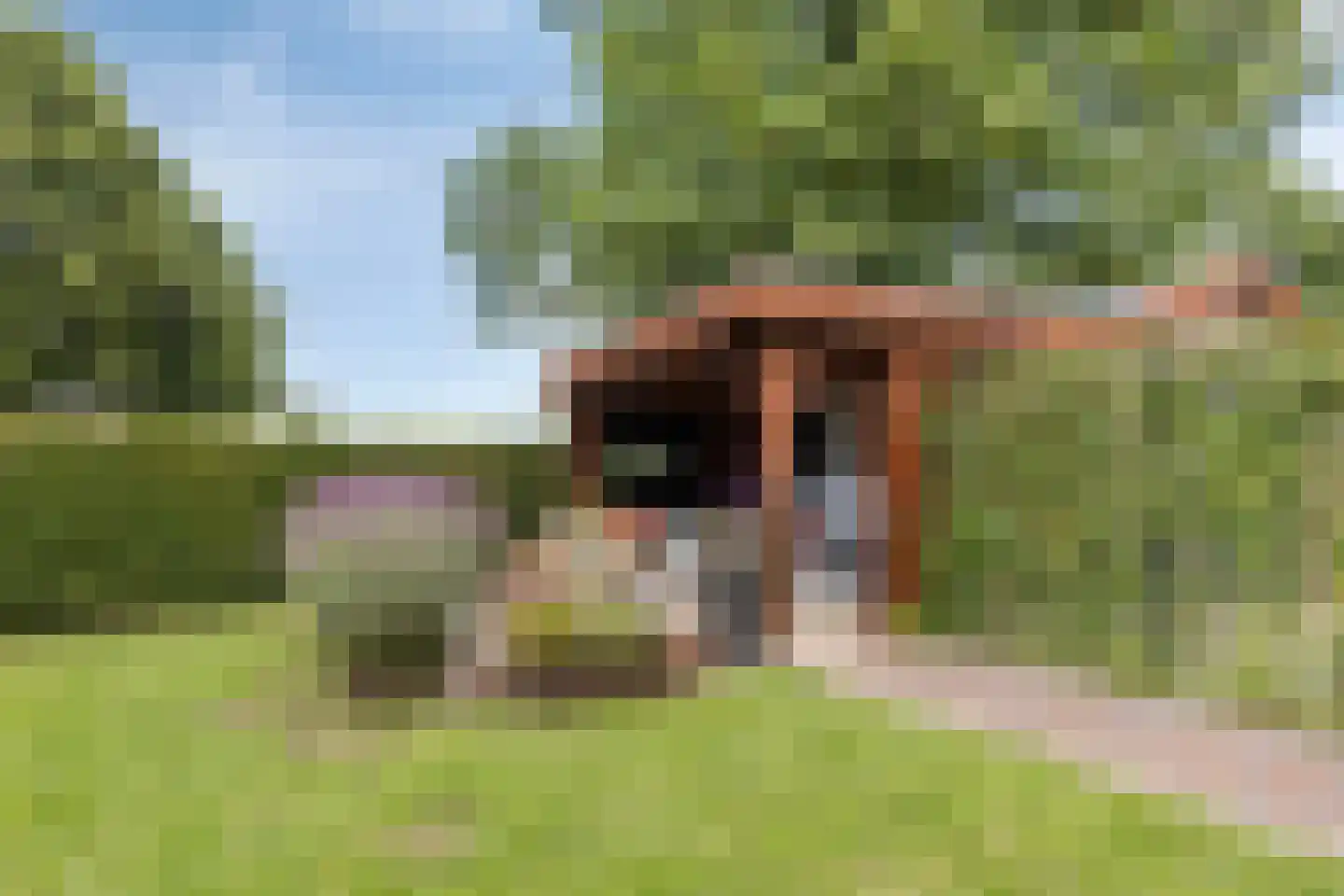 Havenstraat 1 Hooge Zwaluwe thumbnail 47