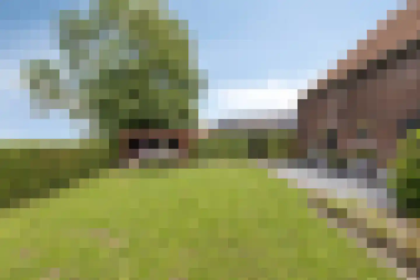 Havenstraat 1 Hooge Zwaluwe thumbnail 5