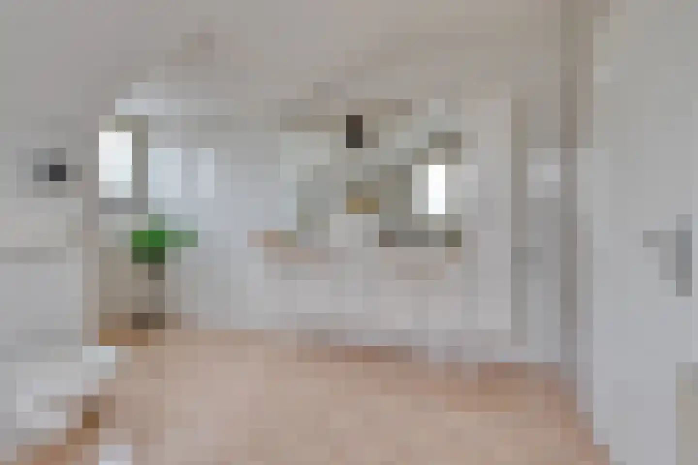 Havenstraat 1 Maasbracht thumbnail 42