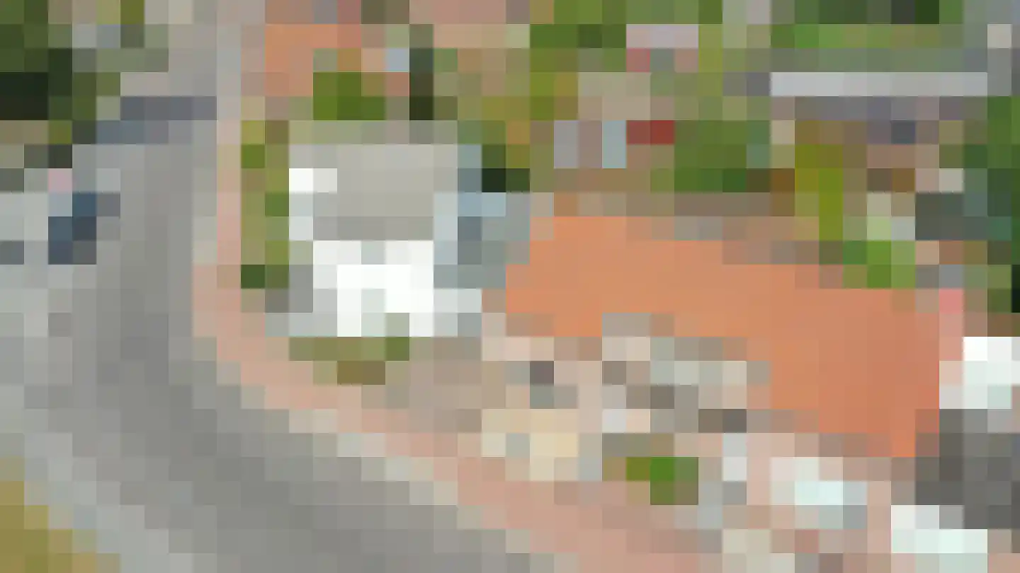 Havenstraat 1 Maasbracht thumbnail 7
