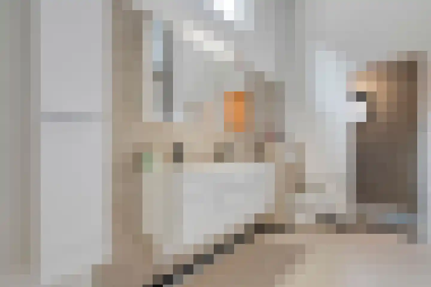 Havenstraat 1 Meppel thumbnail 22