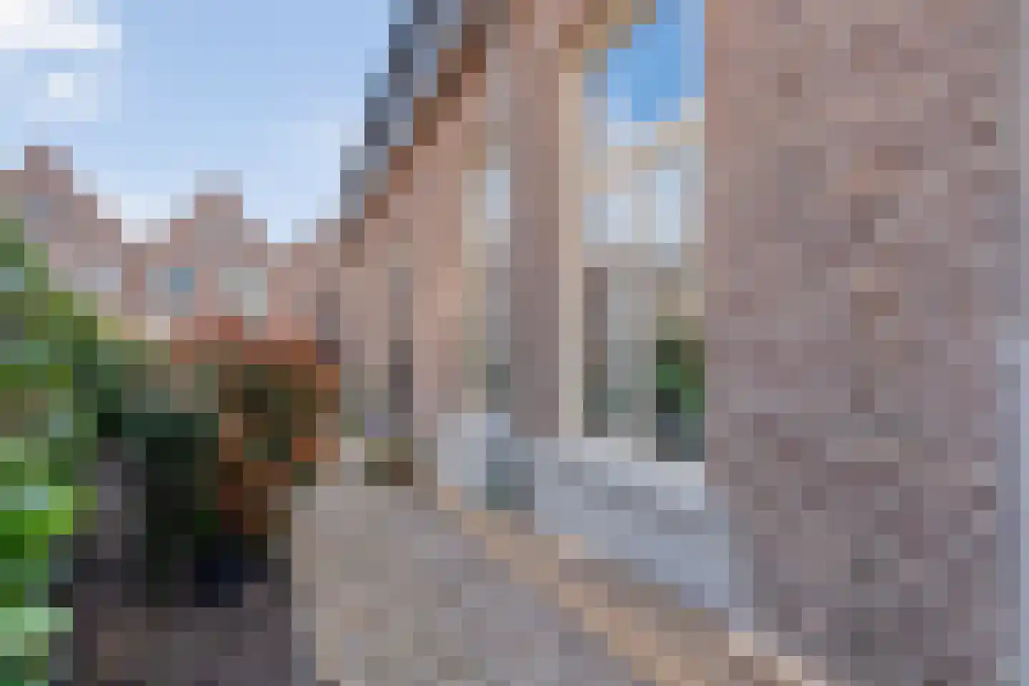 Havenstraat 1 Meppel thumbnail 27