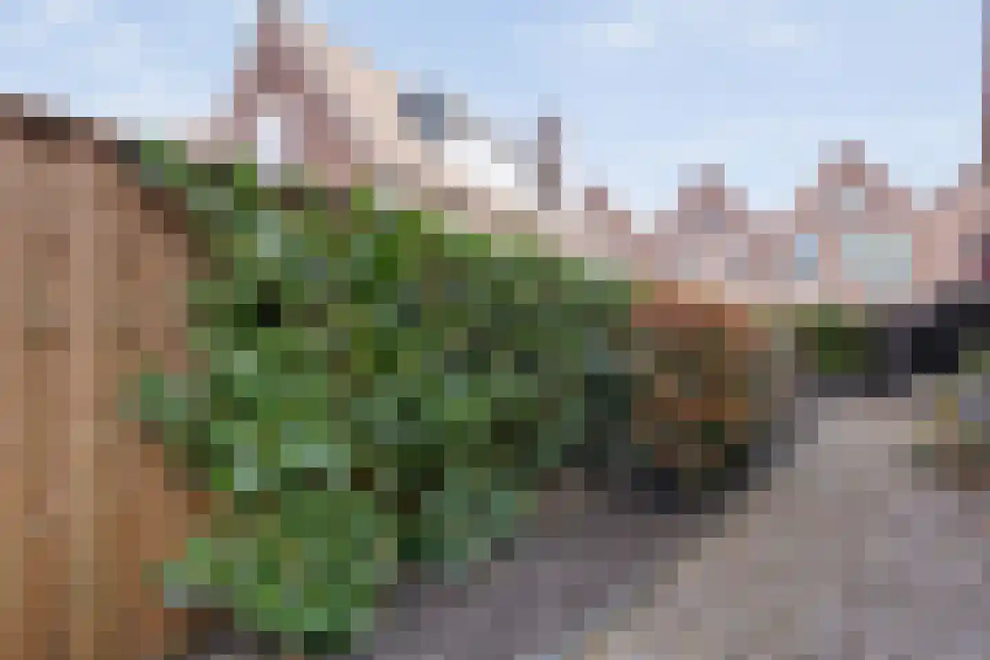 Havenstraat 1 Meppel thumbnail 28