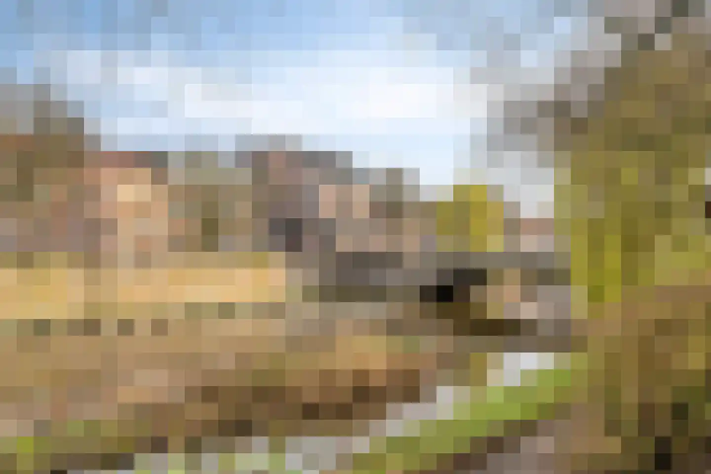 Havenstraat 1 's-Hertogenbosch thumbnail 26