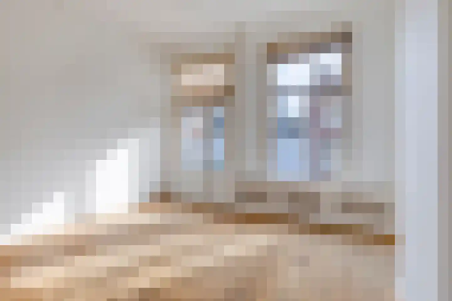 Havenstraat 1 's-Hertogenbosch thumbnail 5