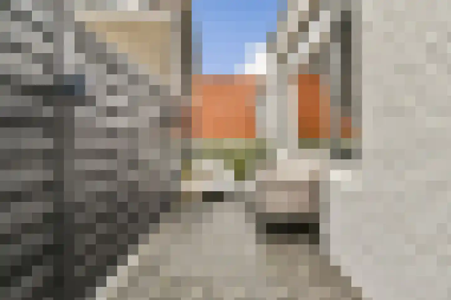 Havenstraat 10 A Vlaardingen thumbnail 17